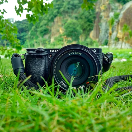 Jaki aparat do fotografowania przyrody?